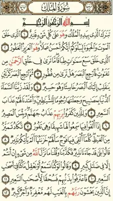 The Holy Quran Offline android App screenshot 0